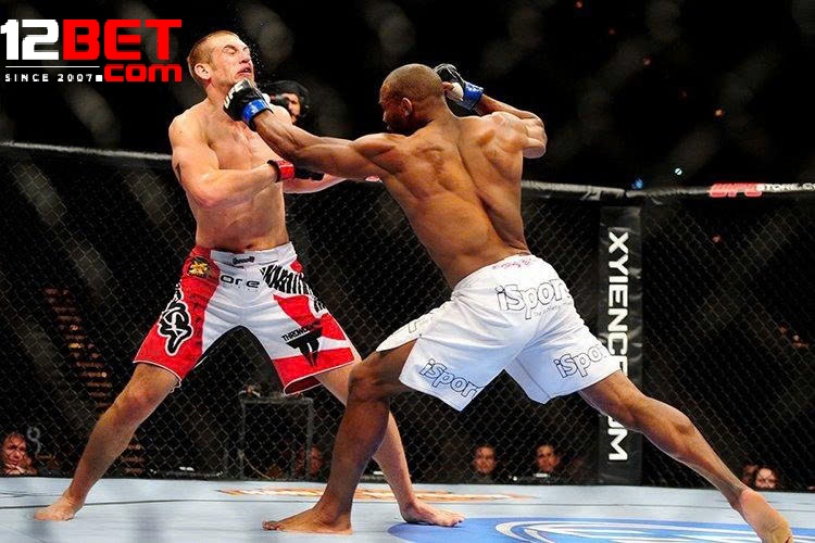 Cược Quyền Anh 12be – Hướng Dẫn Chi Tiết Và Kinh Nghiệm Thắng Lớn