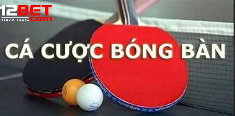 Phân Tích Chiến Thuật, Quản Lý Vốn Và Tối Ưu Kèo